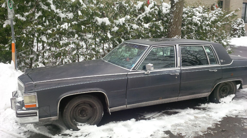 Illustration for article titled SPIED IN A SNOWBANK